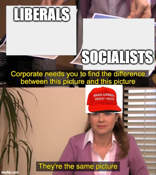 A Liberal is not the same as a socialist! | LIBERALS; SOCIALISTS | image tagged in there the same picture | made w/ Imgflip meme maker