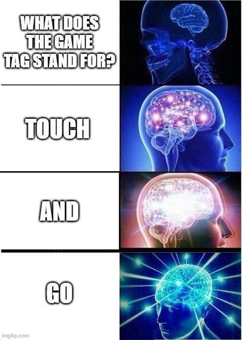 Expanding Brain | WHAT DOES THE GAME TAG STAND FOR? TOUCH; AND; GO | image tagged in memes,expanding brain | made w/ Imgflip meme maker