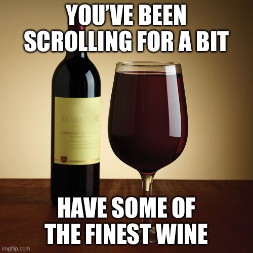 Wine bottle | YOU’VE BEEN SCROLLING FOR A BIT; HAVE SOME OF THE FINEST WINE | image tagged in wine bottle | made w/ Imgflip meme maker