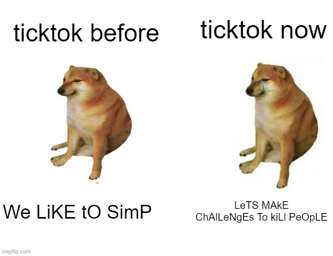#stopthetick | ticktok now; ticktok before; We LiKE tO SimP; LeTS MAkE ChAlLeNgEs To kiLl PeOpLE | image tagged in memes,buff doge vs cheems | made w/ Imgflip meme maker