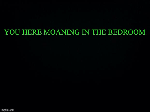 Another game of what would you do | YOU HERE MOANING IN THE BEDROOM | image tagged in black with green typing | made w/ Imgflip meme maker