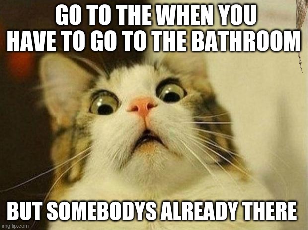 bathroom rush | GO TO THE WHEN YOU HAVE TO GO TO THE BATHROOM; BUT SOMEBODYS ALREADY THERE | image tagged in memes,scared cat | made w/ Imgflip meme maker