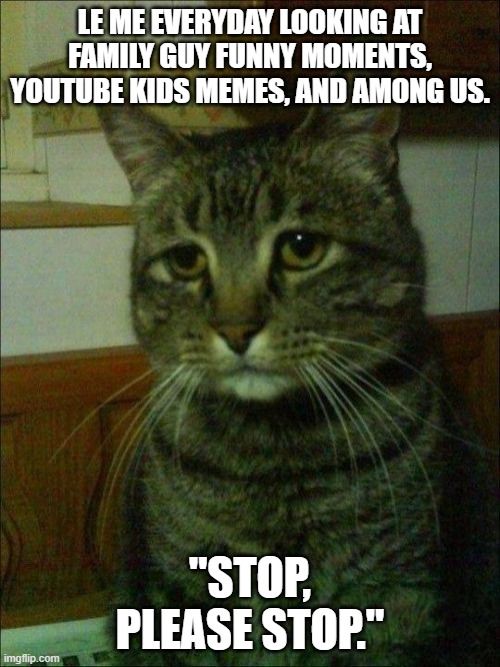 Depressed Cat | LE ME EVERYDAY LOOKING AT FAMILY GUY FUNNY MOMENTS, YOUTUBE KIDS MEMES, AND AMONG US. "STOP, PLEASE STOP." | image tagged in memes,depressed cat | made w/ Imgflip meme maker