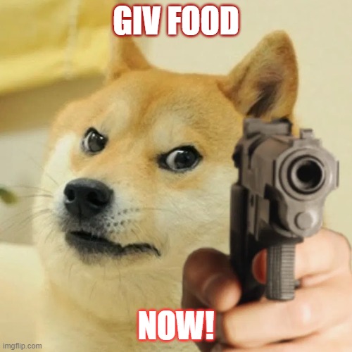 I WANT DA FOOD | GIV FOOD; NOW! | image tagged in angry doge | made w/ Imgflip meme maker