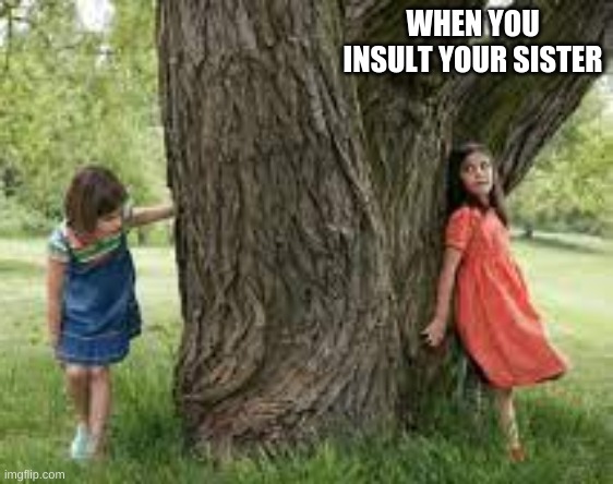 Hide | WHEN YOU INSULT YOUR SISTER | image tagged in funny,danger | made w/ Imgflip meme maker