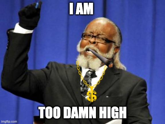 for real. he is high. | I AM; TOO DAMN HIGH | image tagged in memes,too damn high | made w/ Imgflip meme maker
