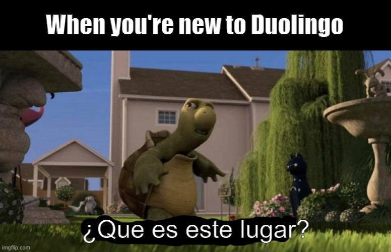 translates to "what is this place" | When you're new to Duolingo; ¿Que es este lugar? | image tagged in what is this place,duolingo | made w/ Imgflip meme maker