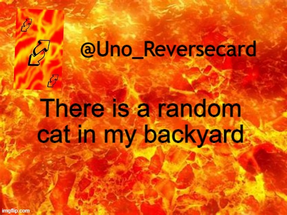 Uno_Reversecard Announcement Temp 2 | There is a random cat in my backyard | image tagged in uno_reversecard announcement temp 2 | made w/ Imgflip meme maker