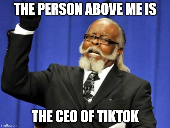 who? | THE PERSON ABOVE ME IS; THE CEO OF TIKTOK | image tagged in memes,too damn high | made w/ Imgflip meme maker