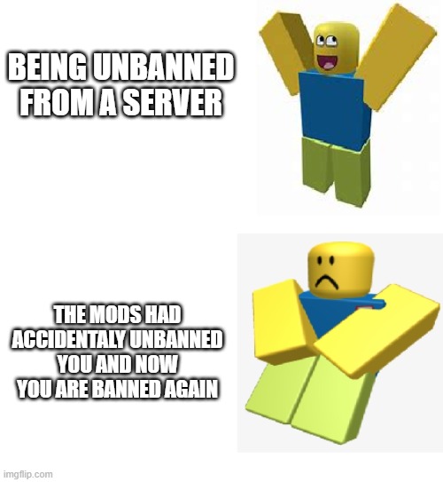 Happy noob sad noob | BEING UNBANNED FROM A SERVER; THE MODS HAD ACCIDENTALY UNBANNED YOU AND NOW YOU ARE BANNED AGAIN | image tagged in roblox noob | made w/ Imgflip meme maker