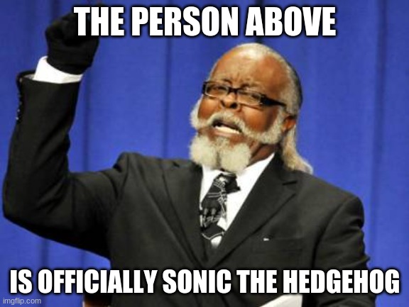 Too Damn High | THE PERSON ABOVE; IS OFFICIALLY SONIC THE HEDGEHOG | image tagged in memes,too damn high | made w/ Imgflip meme maker