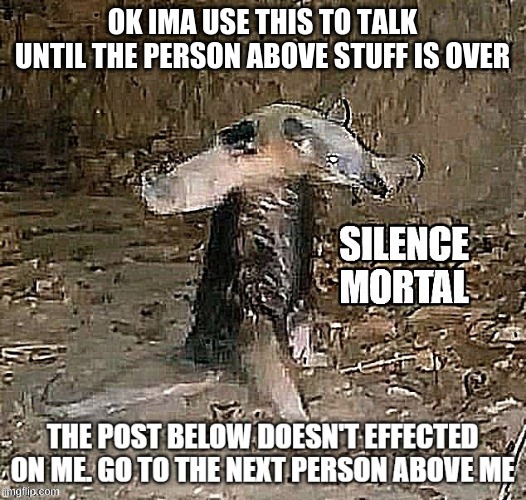 SILENCE | OK IMA USE THIS TO TALK UNTIL THE PERSON ABOVE STUFF IS OVER | made w/ Imgflip meme maker