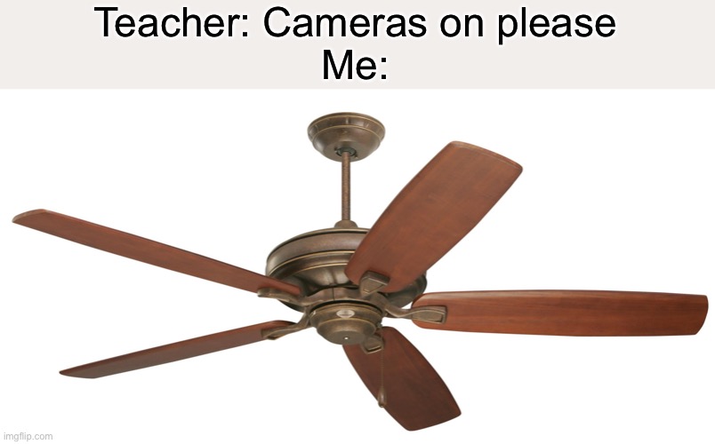 Ceiling fan | Teacher: Cameras on please
Me: | image tagged in ceiling fan | made w/ Imgflip meme maker