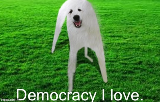 ok booomer | image tagged in democracy i love,democracy,okay,doge,barney will eat all of your delectable biscuits | made w/ Imgflip meme maker