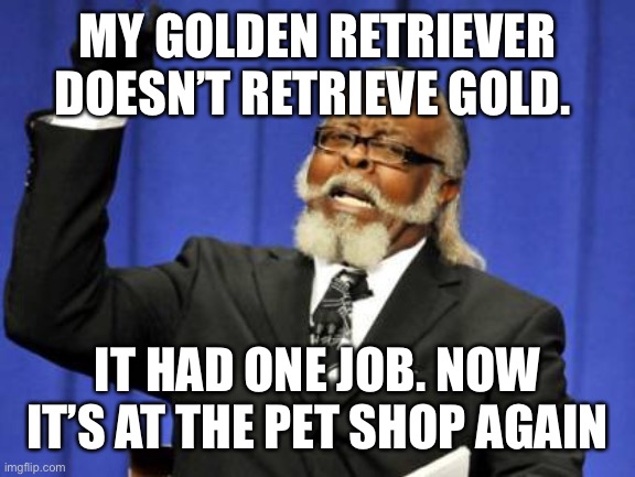 Hehehe | MY GOLDEN RETRIEVER DOESN’T RETRIEVE GOLD. IT HAD ONE JOB. NOW IT’S AT THE PET SHOP AGAIN | image tagged in memes,too damn high | made w/ Imgflip meme maker