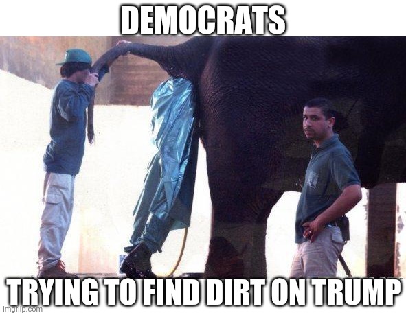 OR MAYBE THEY JUST CAN'T GET OVER HIM | DEMOCRATS; TRYING TO FIND DIRT ON TRUMP | image tagged in democrats,president trump,liberals,trump,trump derangement syndrome | made w/ Imgflip meme maker