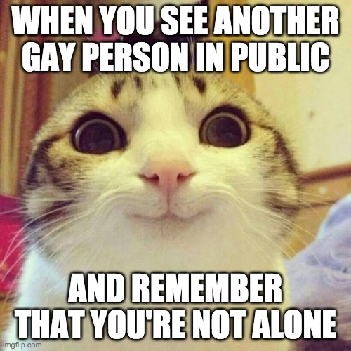 gay people seeing other gay people in public is like dogs when they meet other dogs | WHEN YOU SEE ANOTHER GAY PERSON IN PUBLIC; AND REMEMBER THAT YOU'RE NOT ALONE | image tagged in memes,smiling cat | made w/ Imgflip meme maker