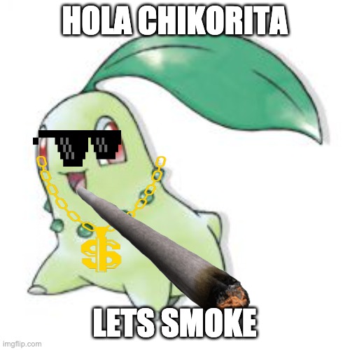 Chikorita | HOLA CHIKORITA LETS SMOKE | image tagged in chikorita | made w/ Imgflip meme maker