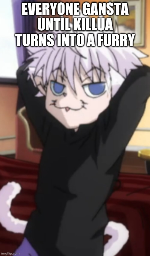 EVERYONE GANSTA UNTIL KILLUA TURNS INTO A FURRY | image tagged in e | made w/ Imgflip meme maker