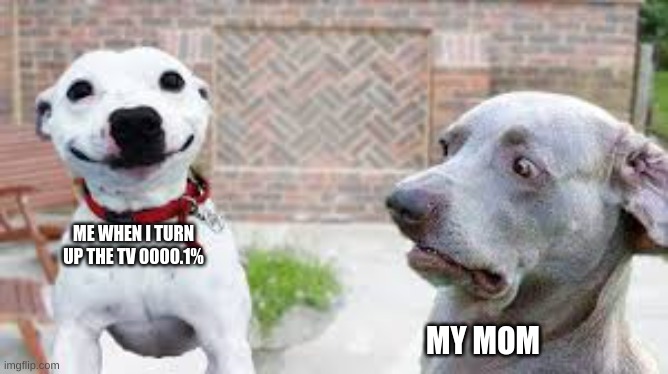 moms | ME WHEN I TURN UP THE TV 0000.1%; MY MOM | image tagged in moms annoying,mom,annoying,waird | made w/ Imgflip meme maker