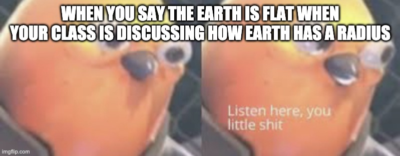 Listen here you little shit bird | WHEN YOU SAY THE EARTH IS FLAT WHEN YOUR CLASS IS DISCUSSING HOW EARTH HAS A RADIUS | image tagged in listen here you little shit bird | made w/ Imgflip meme maker