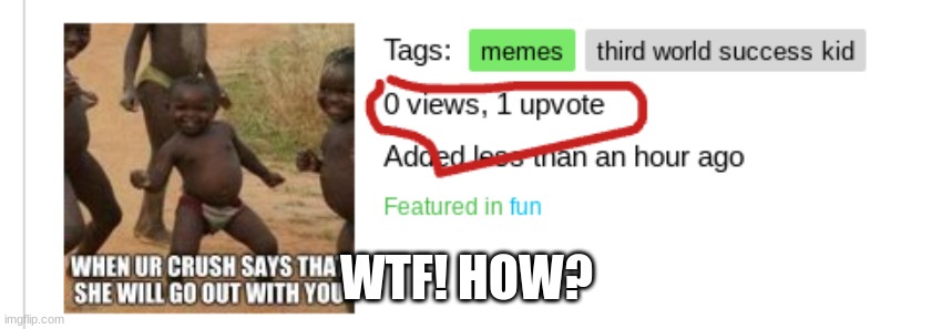 how | WTF! HOW? | image tagged in how | made w/ Imgflip meme maker