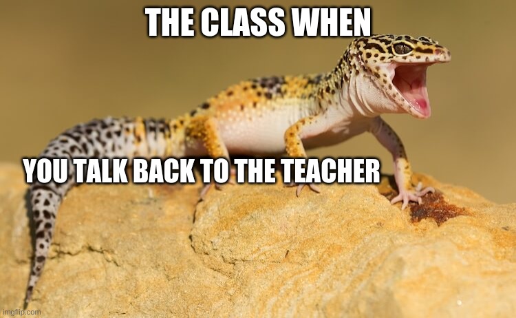 the class when | THE CLASS WHEN; YOU TALK BACK TO THE TEACHER | image tagged in surprised gecko | made w/ Imgflip meme maker