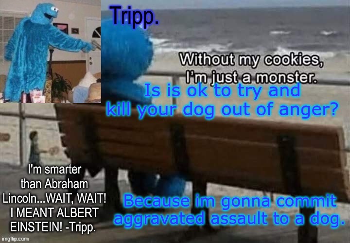 I wish upon a star. | Is is ok to try and kill your dog out of anger? Because im gonna commit aggravated assault to a dog. | image tagged in tripp 's cookie monster temp | made w/ Imgflip meme maker