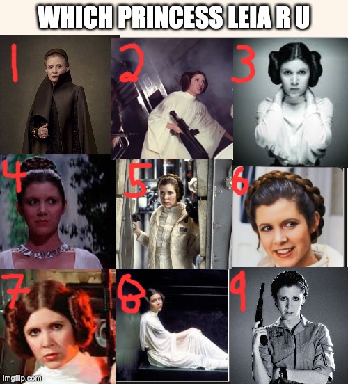 Which princess leia are you? | WHICH PRINCESS LEIA R U | image tagged in which one are you,princess leia,star wars,leia,princess,jedi | made w/ Imgflip meme maker