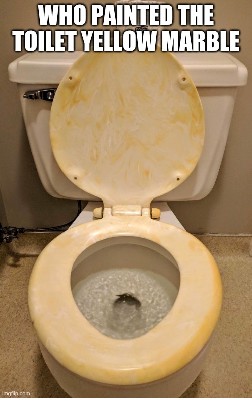 Why not pick a different toilet color instead of this! | WHO PAINTED THE TOILET YELLOW MARBLE | image tagged in lol so funny | made w/ Imgflip meme maker