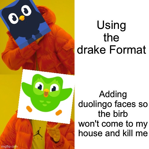 Drake Hotline Bling | Using the drake Format; Adding duolingo faces so the birb won't come to my house and kill me | image tagged in memes,drake hotline bling,duolingo bird | made w/ Imgflip meme maker