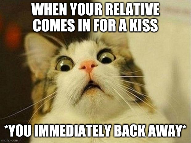 When yoooo crusty, rusty, and dusty grandma come in for the "THING!!!!!!!" | WHEN YOUR RELATIVE COMES IN FOR A KISS; *YOU IMMEDIATELY BACK AWAY* | image tagged in memes,scared cat | made w/ Imgflip meme maker