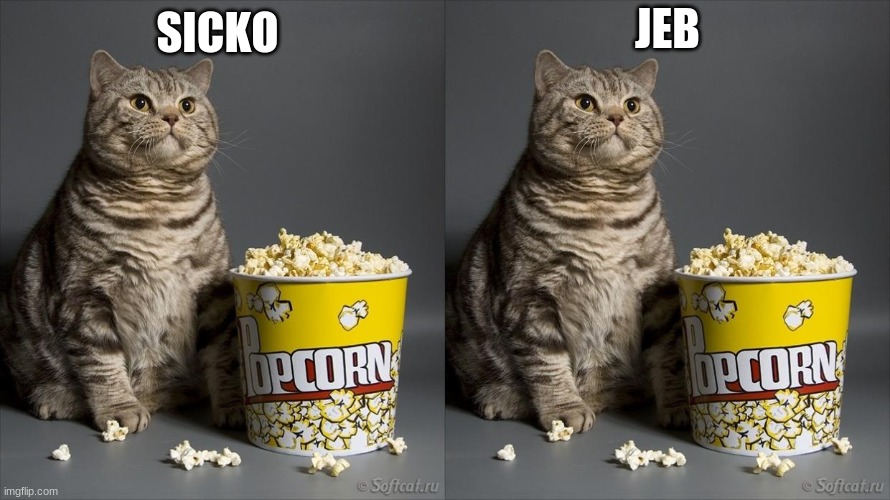 JEB SICKO | image tagged in cat eating popcorn | made w/ Imgflip meme maker