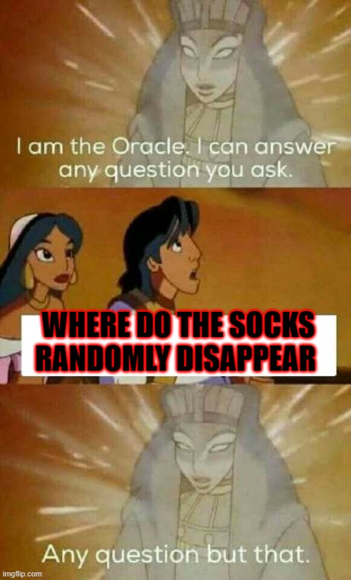 Where do they go? | WHERE DO THE SOCKS RANDOMLY DISAPPEAR | image tagged in oracle question | made w/ Imgflip meme maker