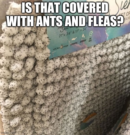 I will just get a different carpet | IS THAT COVERED WITH ANTS AND FLEAS? | image tagged in funny | made w/ Imgflip meme maker