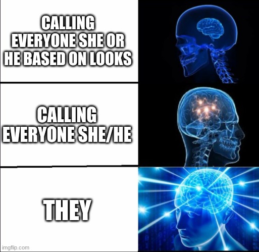 *Happy LGBTQ+ noises* | CALLING EVERYONE SHE OR HE BASED ON LOOKS; CALLING EVERYONE SHE/HE; THEY | image tagged in galaxy brain 3 brains | made w/ Imgflip meme maker