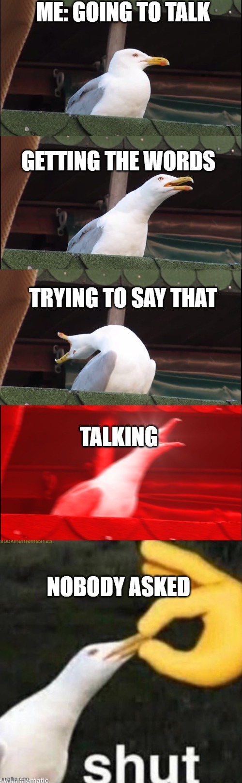 going to talk | ME: GOING TO TALK; GETTING THE WORDS; TRYING TO SAY THAT; TALKING; NOBODY ASKED | image tagged in seagull,see nobody cares,nobody cares | made w/ Imgflip meme maker