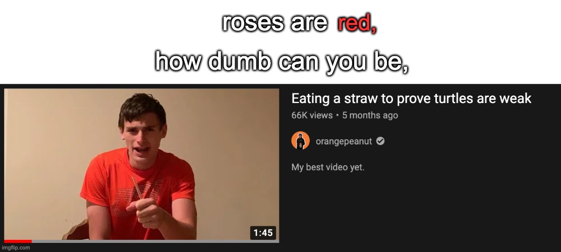 wtf | roses are; red, how dumb can you be, | image tagged in funny | made w/ Imgflip meme maker