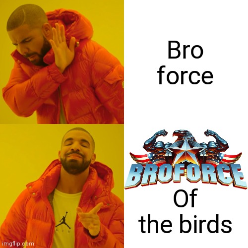 Drake Hotline Bling Meme | Bro force Of the birds | image tagged in memes,drake hotline bling | made w/ Imgflip meme maker