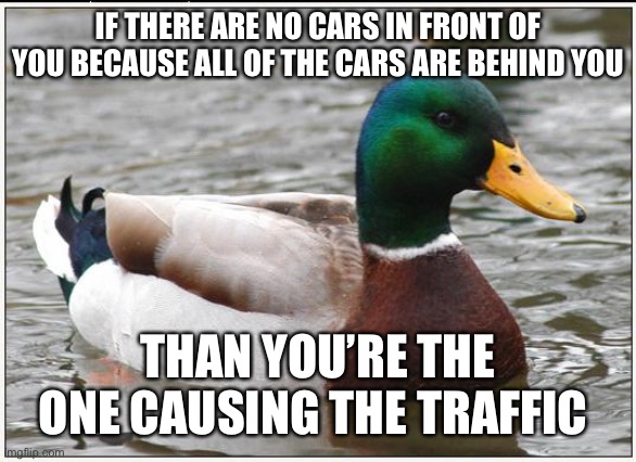 Actual Advice Mallard Meme | IF THERE ARE NO CARS IN FRONT OF YOU BECAUSE ALL OF THE CARS ARE BEHIND YOU; THAN YOU’RE THE ONE CAUSING THE TRAFFIC | image tagged in memes,actual advice mallard | made w/ Imgflip meme maker
