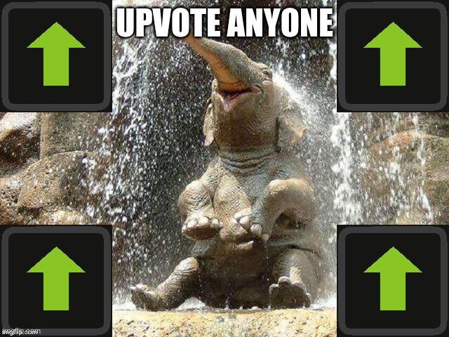 Upvote Elephant | UPVOTE ANYONE | image tagged in upvote elephant | made w/ Imgflip meme maker