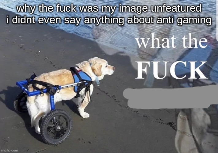 What the fuck is oatmeal | why the fuck was my image unfeatured i didnt even say anything about anti gaming | image tagged in what the fuck is oatmeal | made w/ Imgflip meme maker