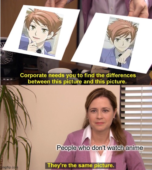 They're The Same Picture Meme | People who don't watch anime | image tagged in memes,they're the same picture,hikaru,kaoru,hitachiin,twins | made w/ Imgflip meme maker