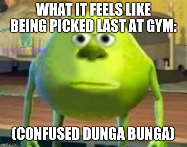 WHAT IT FEELS LIKE BEING PICKED LAST AT GYM:; (CONFUSED DUNGA BUNGA) | image tagged in mike wazowski | made w/ Imgflip meme maker