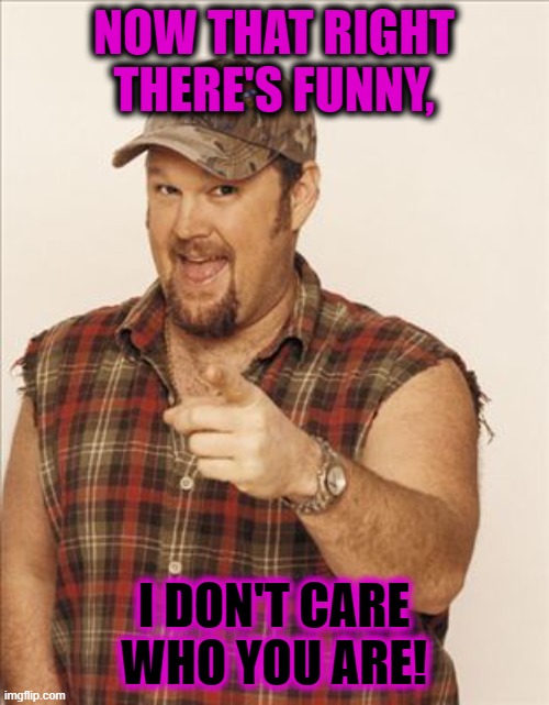 Larry The Cable Guy | NOW THAT RIGHT THERE'S FUNNY, I DON'T CARE WHO YOU ARE! | image tagged in larry the cable guy | made w/ Imgflip meme maker