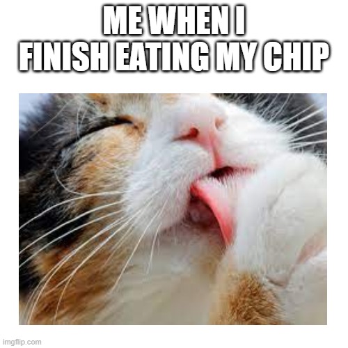 when i am finish eating chips | ME WHEN I FINISH EATING MY CHIP | image tagged in relatable,lick,cat | made w/ Imgflip meme maker