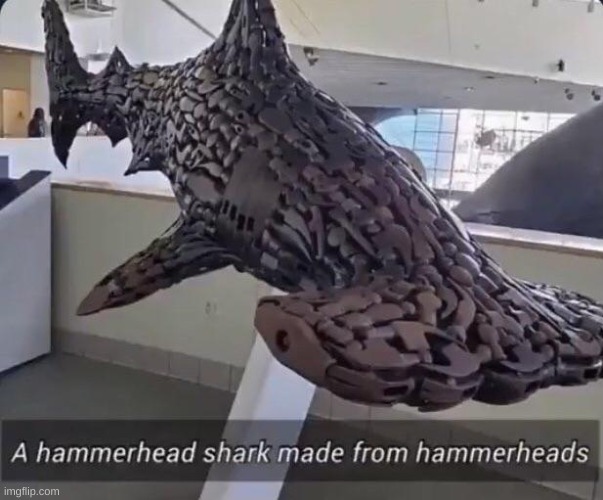 the ultimate hammerhead | image tagged in memes,shark,hammer | made w/ Imgflip meme maker