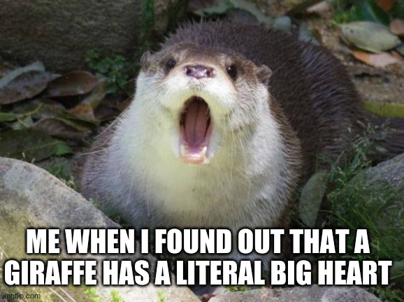 ME WHEN I FOUND OUT THAT A GIRAFFE HAS A LITERAL BIG HEART | made w/ Imgflip meme maker