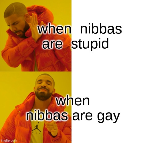 Drake Hotline Bling Meme | when  nibbas are  stupid when  nibbas are gay | image tagged in memes,drake hotline bling | made w/ Imgflip meme maker