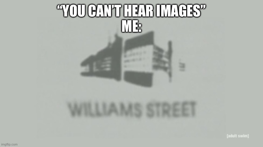 Williams Street | “YOU CAN’T HEAR IMAGES”
ME: | image tagged in williams street | made w/ Imgflip meme maker
